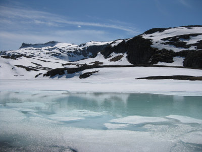 IMG_1133.jpg