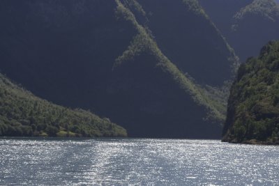 _MG_3909.jpg