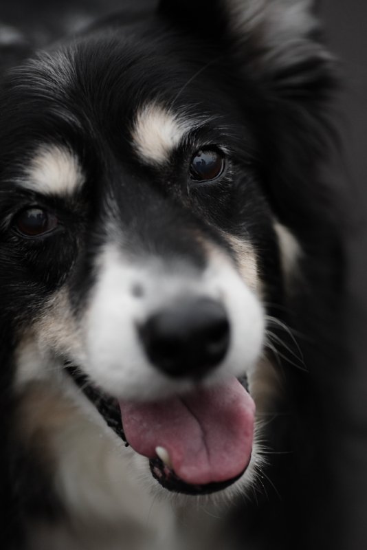 20081221 - Jed