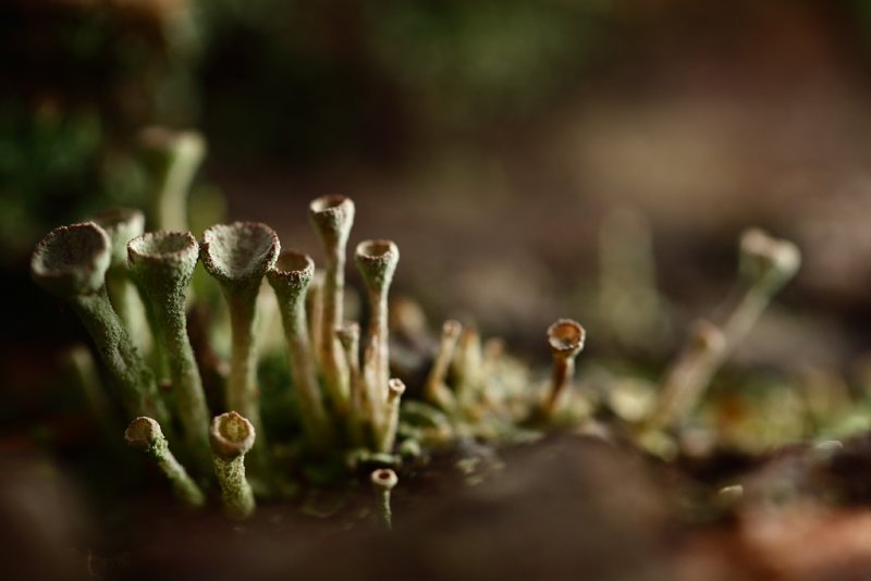 20090215 - Another World