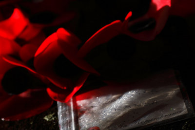 20081111 - Armistice