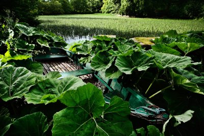 20100710 - Found me a Boat