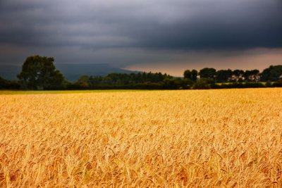 20100714 - Looking Ominous