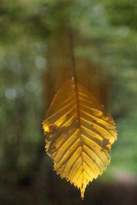 20100926 - Falling