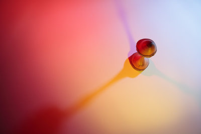 20101011 - Three