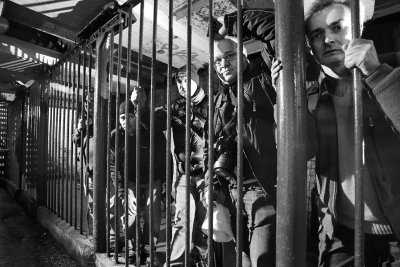 20101212 - Caged
