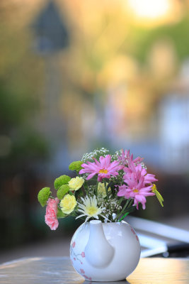 20101212 - T' Flower T' Pot