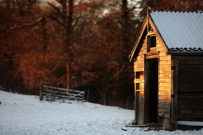 20101219 - Lowly Cattle Shed