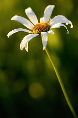 20120928 - Hanging On