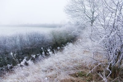 20080219 - Foggy Rime