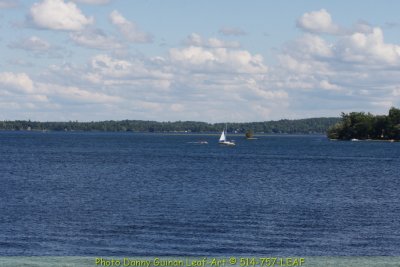 IMG_9319.JPG