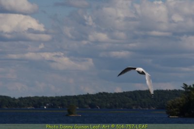 IMG_9324.JPG