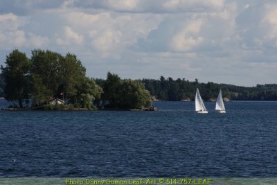 IMG_9329.JPG