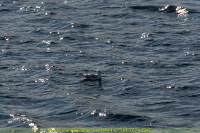 IMG_9348_edited-1.JPG