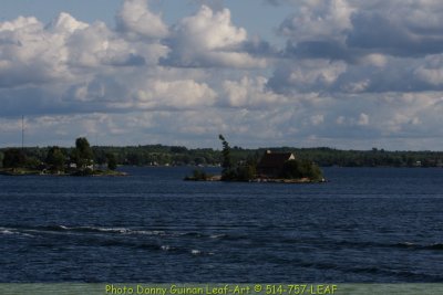 IMG_9355.JPG
