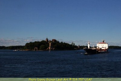 IMG_9398.jpg