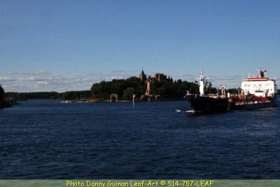 IMG_9399.jpg