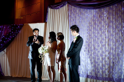 2009 - Professional Wedding Pictures
