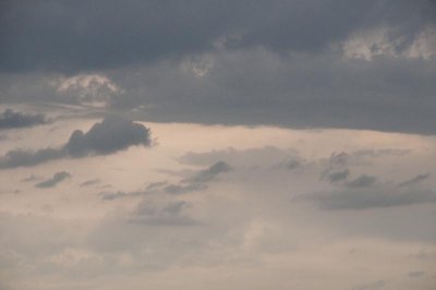 DSC_1381