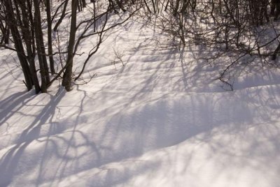 paysage de neige ondulant