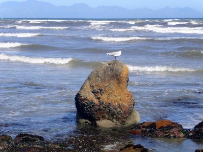 woman sitting in the sea