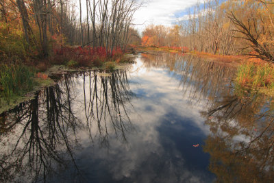 Swamp River, Wingdale, NY