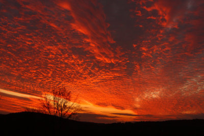g1/12/810012/3/106700608.Y92F05iy.jpg