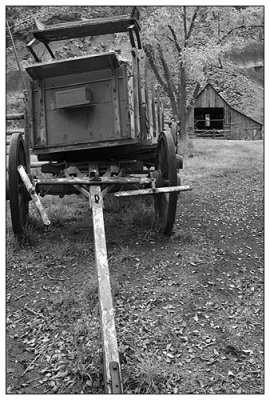 Old Cart & Barn