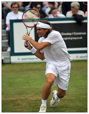 David Ferrer