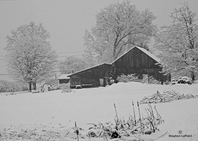 Barn.jpg