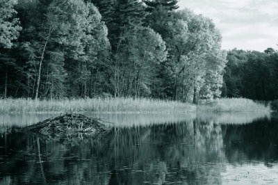 Moreau Lake.jpg