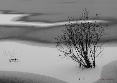 Winter Patterns.jpg