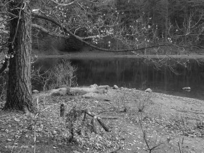 Secret Spot.JPG