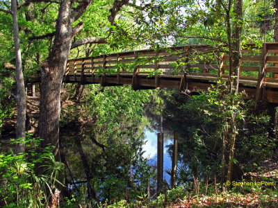 Hanging Bridge2.jpg