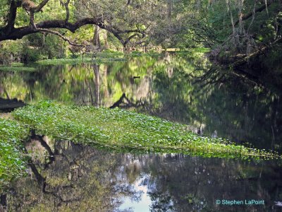 Hillsborough River.jpg