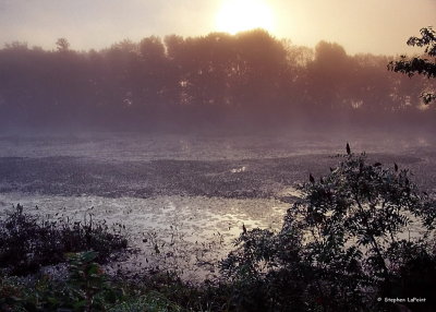 Hudson River Fog.jpg