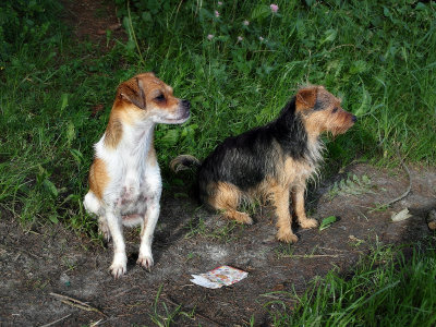 Ronja und Lucy