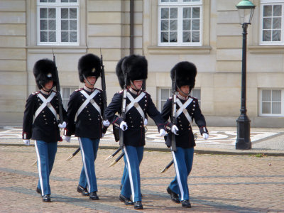 DSC03095.jpg