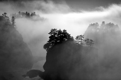 Fog - Cape Flattery 1