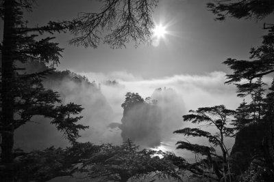 Fog - Cape Flattery 2