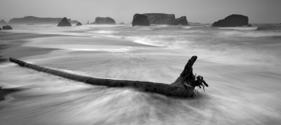 Sea Stacks - Driftwood  1