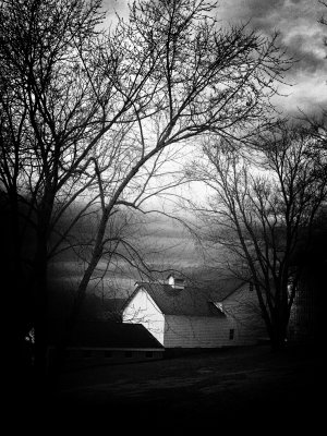 Barn and Bare Trees