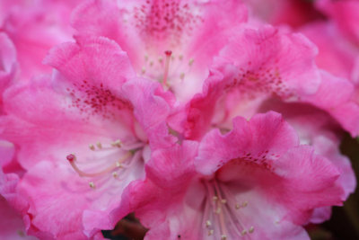 g1/12/881412/3/106653655.Q2kscIS6.jpg