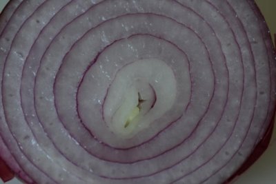 Zwiebel / Onion