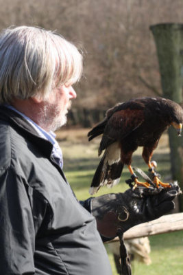 John and the harris hawk