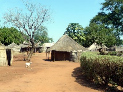 Chief Mukuni's village