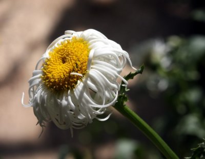 g1/12/881412/3/114631518.qBunNata.jpg