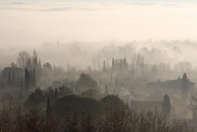 Morgennebel / morning fog