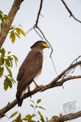 20090531_6064.jpg