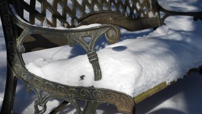 Winter Bench